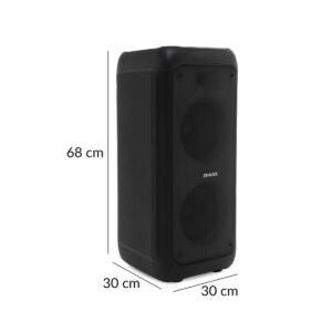 Sistema De Audio Doble Aiwa 8″ 80W Rms Luz Llameante Recargable