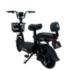 E Bike E01 Max Negro 350 w 48V/12Ah