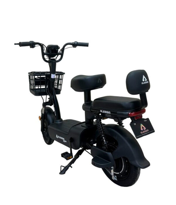 E Bike E01 Max Negro 350 w 48V/12Ah