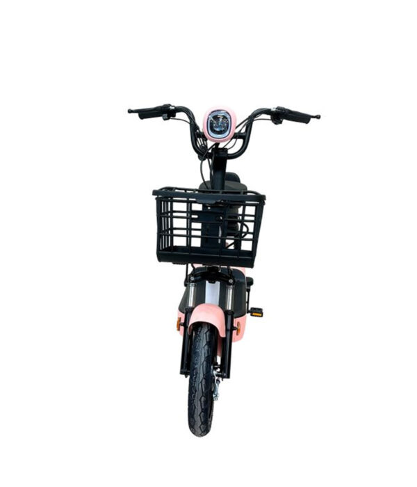 E Bike E01 Max Rosa 350 w 48V/12Ah