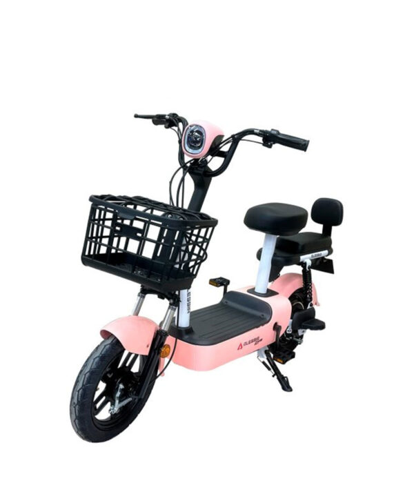 E Bike E01 Max Rosa 350 w 48V/12Ah