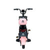 E Bike E01 Max Rosa 350 w 48V/12Ah