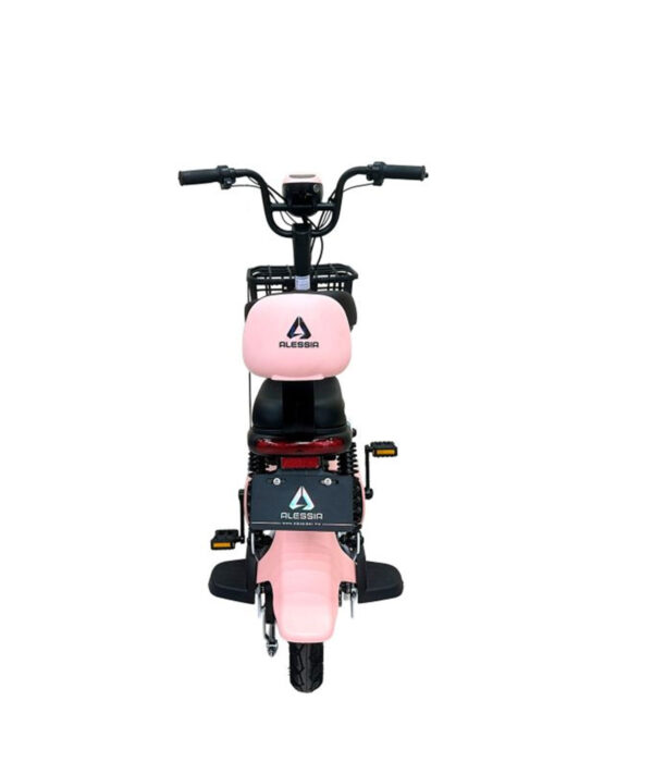 E Bike E01 Max Rosa 350 w 48V/12Ah