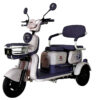 E Bike P05 Pony Plus Morado 650 w 72v/20Ah