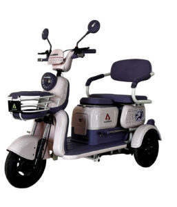 E Bike P05 Pony Plus Morado 650 w 72v/20Ah