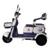 E Bike P05 Pony Plus Morado 650 w 72v/20Ah