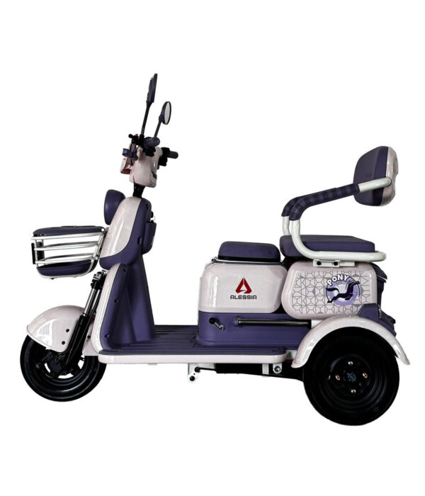 E Bike P05 Pony Plus Morado 650 w 72v/20Ah