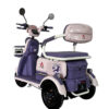 E Bike P05 Pony Plus Morado 650 w 72v/20Ah