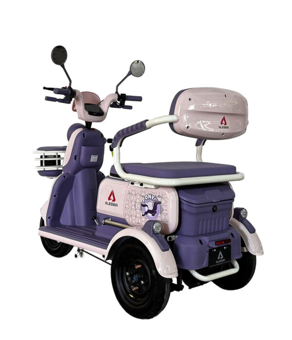 E Bike P05 Pony Plus Morado 650 w 72v/20Ah