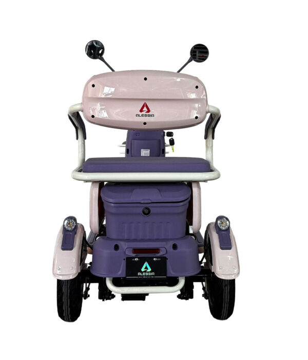 E Bike P05 Pony Plus Morado 650 w 72v/20Ah