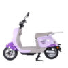 E Bike Luna Pop Morado con parrilla 600 W 72v/20ah